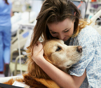 Animal de soutien émotionnel : comment peuvent-ils aider en thérapie ?