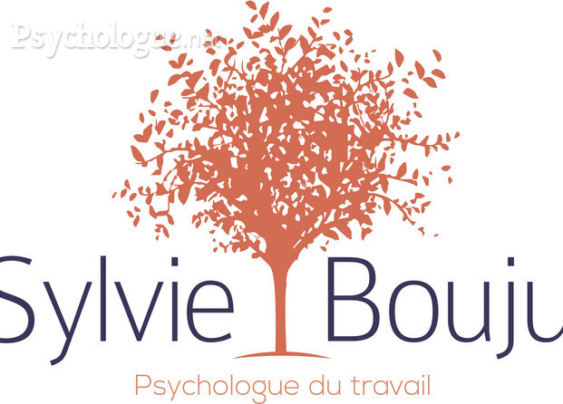 Logo Sylvie Bouju grand