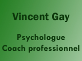 Vincent Gay