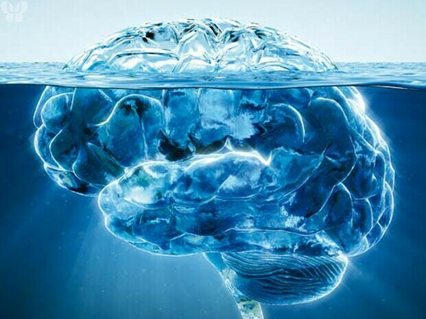 Cerveau icebeg.jpg