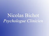 Nicolas Bichot