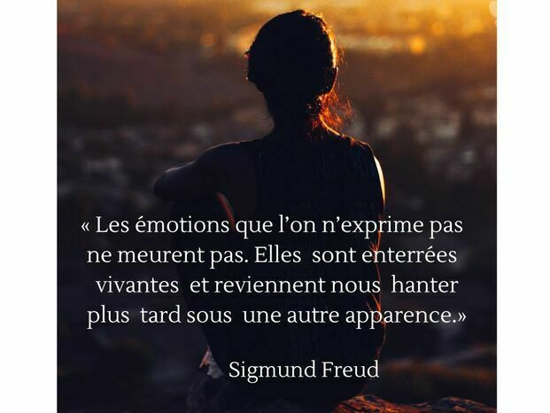 Freud - Les émotions