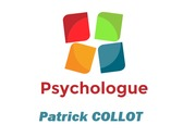 Patrick COLLOT
