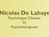 Nicolas De Lahaye - Psychologue Clinicien et Psychothérapeute