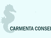 Carmenta Conseil