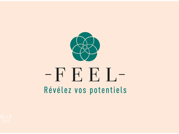 Feel-logo-RVB (1).jpg