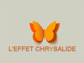 Charlotte de Silguy - Effet Chrysalide