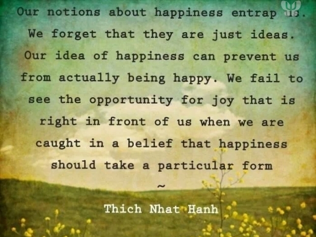 Our notions about happiness - Thich Nhat Hanh.jpg